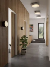 Over Me 50 Ceiling/Wall Lamp, black