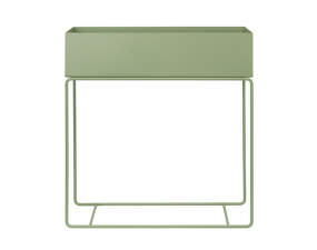 Plant Box, tea green