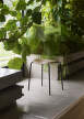 Pavilion Stool AV36, oak