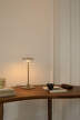 Blossi Table Lamp Small, nordic gold