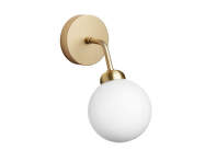 Apiales Wall Lamp, brushed brass/opal